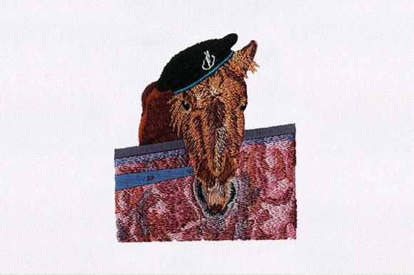 Brown Horse Face Review for Seasonal Embroidery